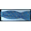 P.L. Sells Bow Self Tie Hare Blue