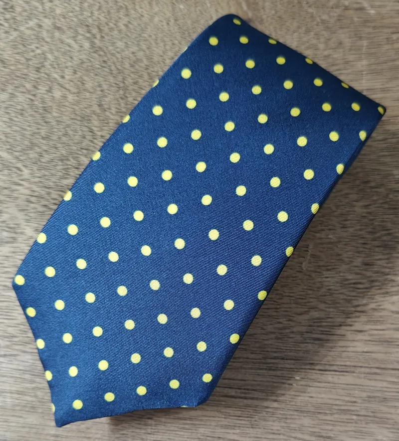 P.L. Sells Spot Silk Tie Navy-Gold N666 