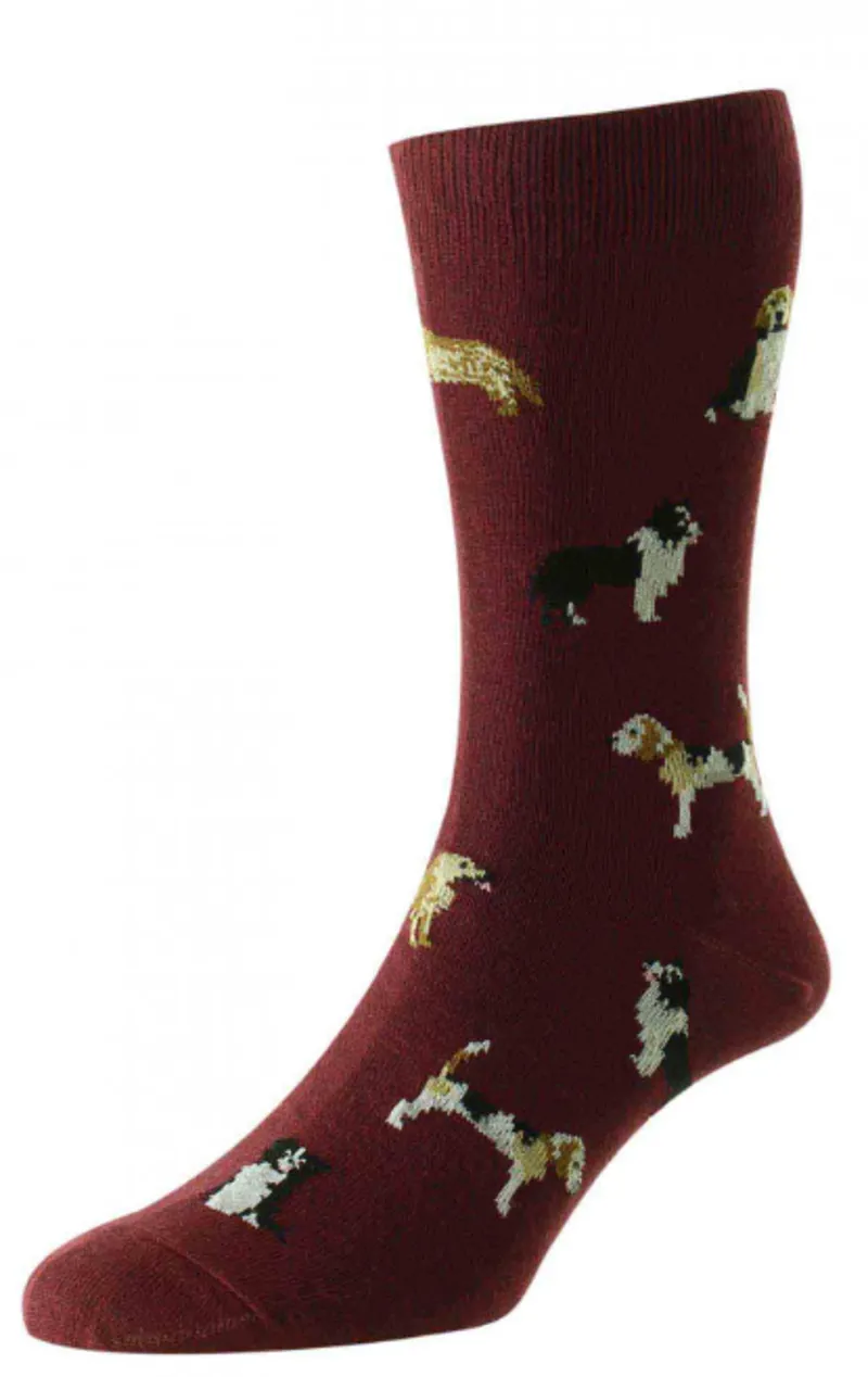 HJ Hall Cotton Rich Socks Dogs Burgandy HJ67 