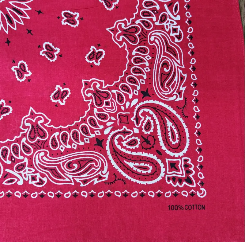 Sophos Neckerchief/Bandana 22 Paisley Red