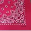 Sophos Neckerchief/Bandana 22 Paisley Red
