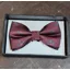 Christmas Holly Bow Tie Wine