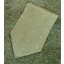 P.L Sells Pheasant Light Green Cravat C100